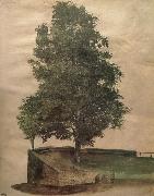 Albrecht Durer Linden Tree on a Bastion oil painting on canvas
